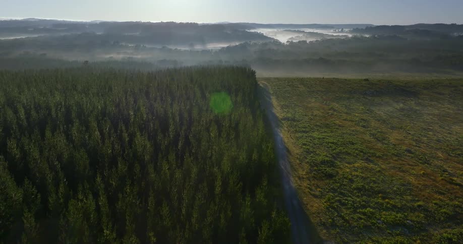 Aerial shot of natural landscape