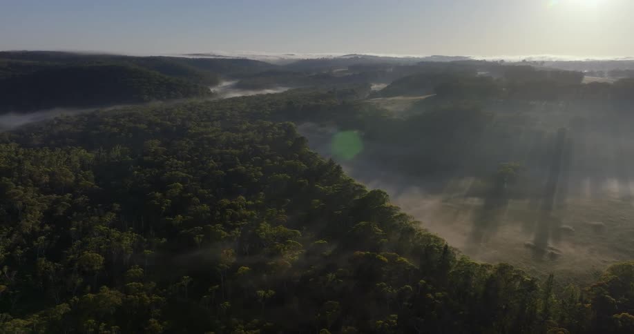 The camera flies overhead above an expansive forest covered landscape