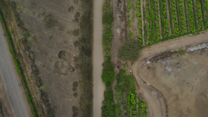 Aerial view of country road and farmland