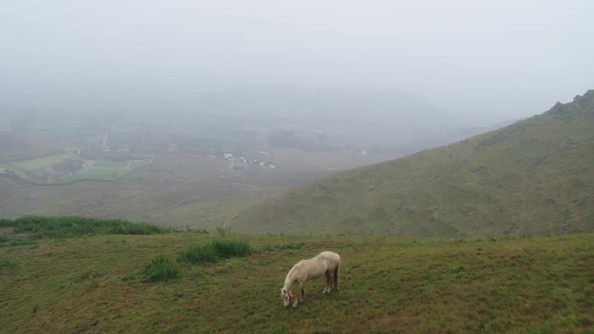 Horse graze on hill overlooking valley with winding road and houses