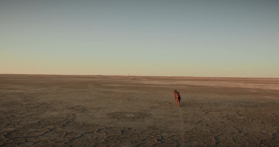 A small group of bushmen walk in a line across a dusty plain