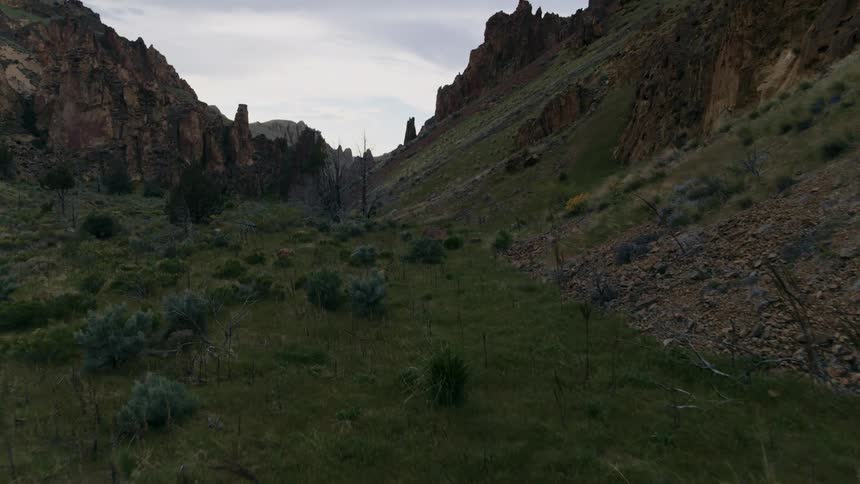 Low traverse over the ground of an emerald green valley gorge