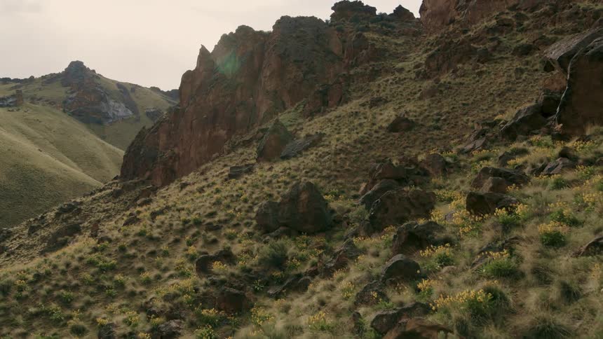 Brilliant yellow wildflowers grow along verdant green hills under towering rock formations