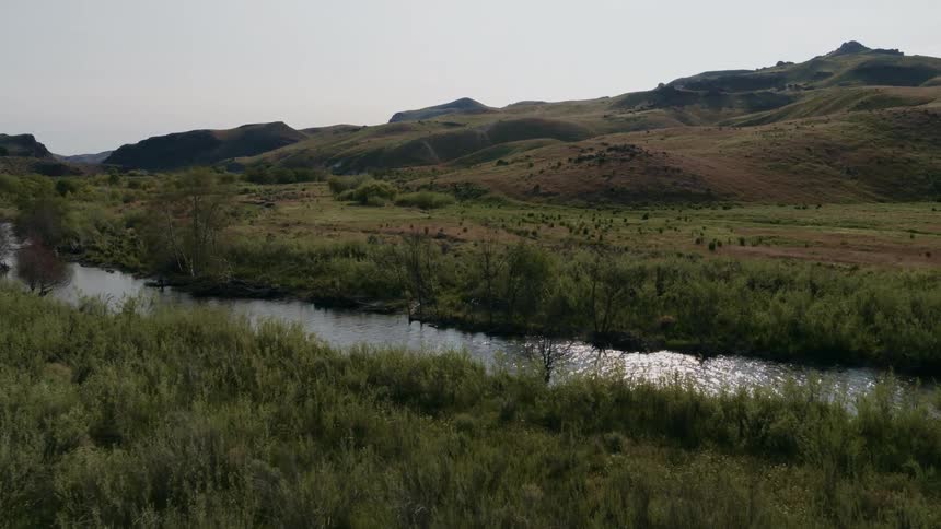 Sunshine shimmers along a gentle stream winding its way through vibrant green hills