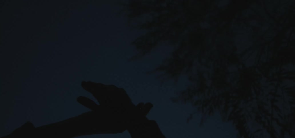 Hands silhouetted against moonlit night sky gesture and sway smoothly