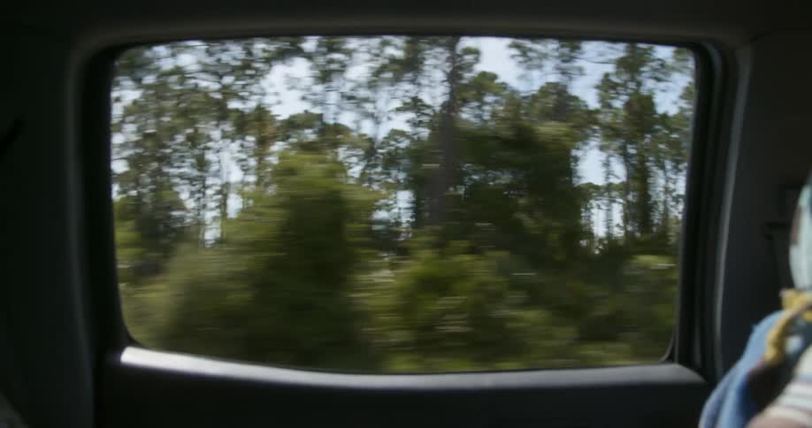 Nature and houses seen from the window of a car in motion