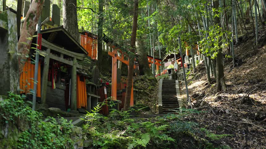 Outdoor steps lead up mountain through Japanese woods and past cabins