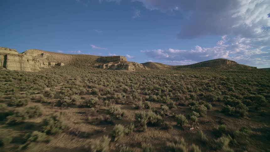 Skimming just above arid desert shrubland with cliffs and hills rising in the distance