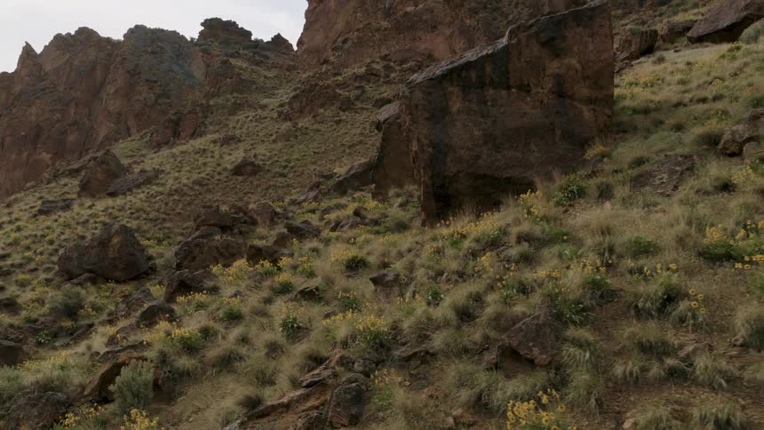 Wildflowers dot the steep terrain of an ancient mountainside
