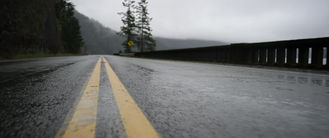 Rain falling on a forest road