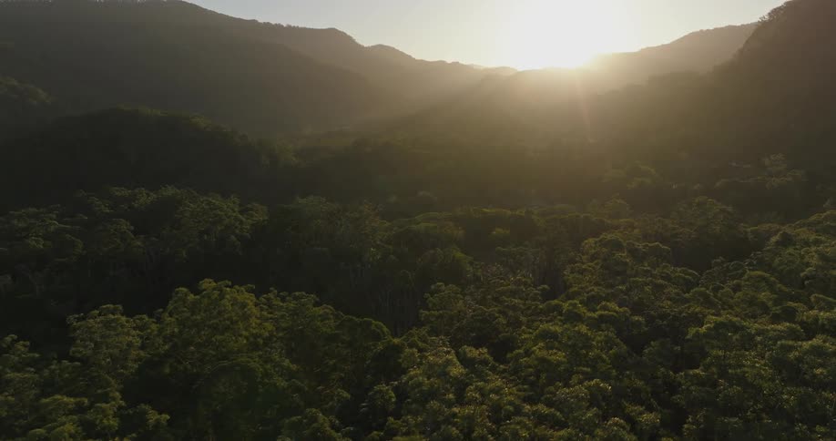 Aerial shot of a forest next to a mountain region