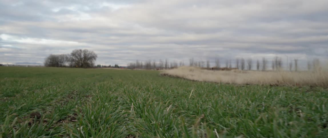View of a large grass field on a cloudy day