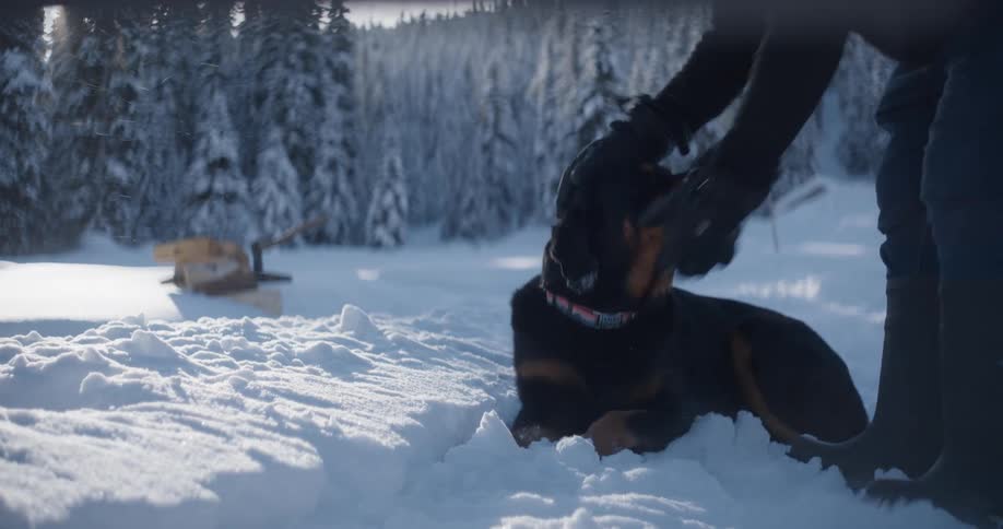 A man walks over to pet his dog that is sitting in the snow