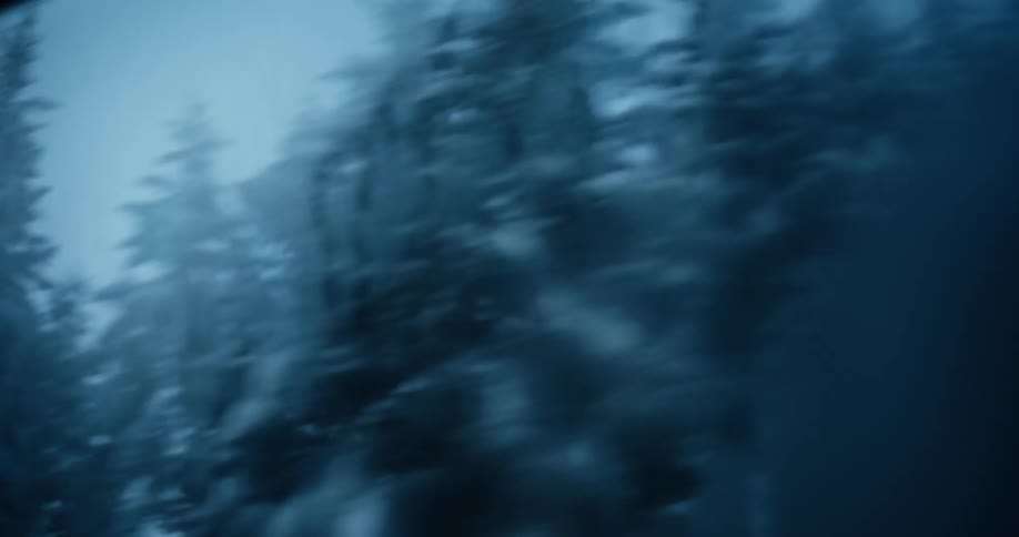 Snow covered trees with fogged up glass