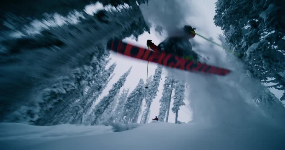 Skiers ski down snow covered slope between conifer trees