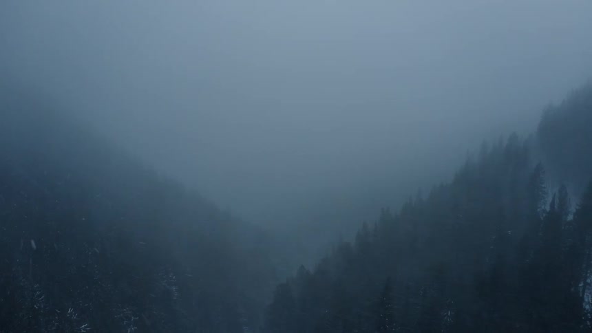 Snow falls upon a valley located below mountains covered with trees