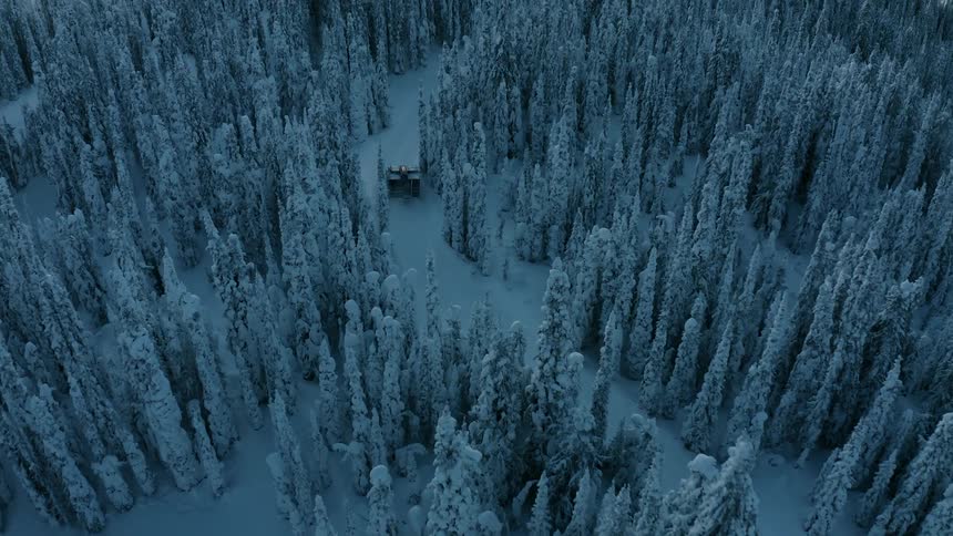 A snow plow drives along a snow covered path in a forest