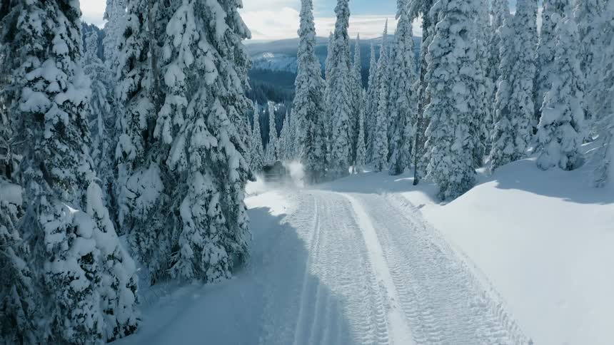 Vehicle driving on a frozen road through a pine tree forest in the mountains