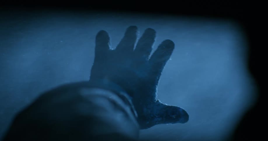 A person wearing a glove holds their hand out during a snow storm