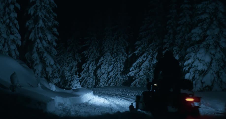 A pair of people riding snow mobiles rides through a forest at nighttime
