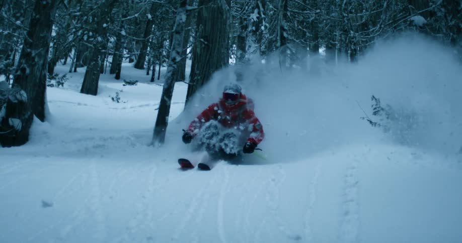 Snow flies as a skier holds his ski poles and slides down a forest mountain hill near a tree