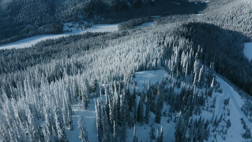 Vehicle descending a snow covered mountain with pine trees