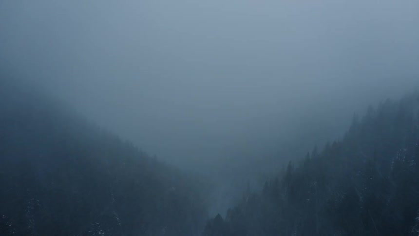 Heavy snow falls upon a valley that is lined with dense forests
