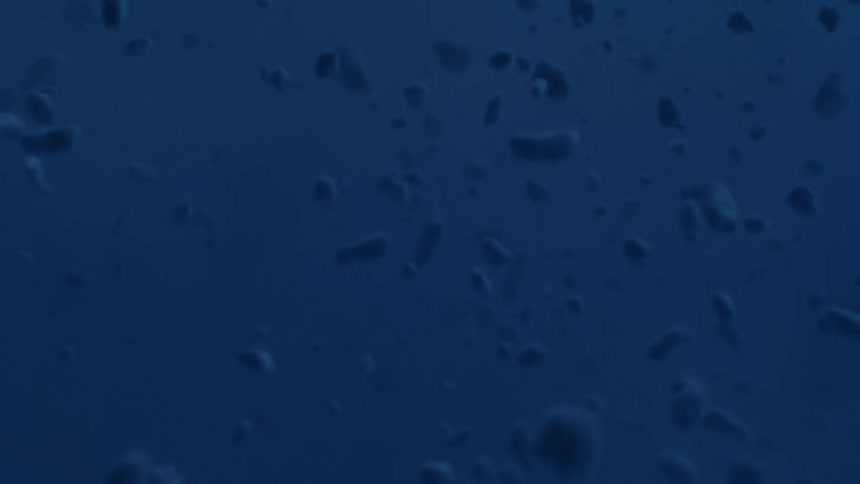 Globs of various sizes and shapes float through blue liquid