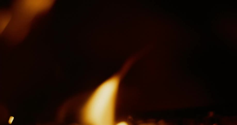 A piece of wood is consumed by a fire in the dark of night