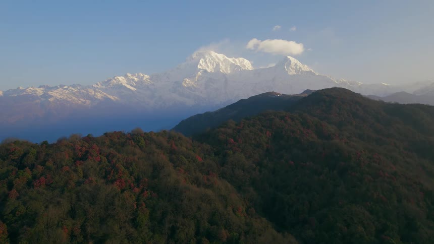 Forested mountains with trees in fall colors and snow covered mountains in the distance