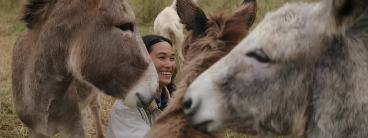 A young woman smiles as she is petty a group of donkeys in a field