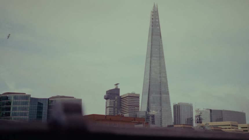 A bird flies across London skyline