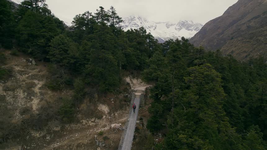 A person hikes along a suspension bridge that leads to a forest trail