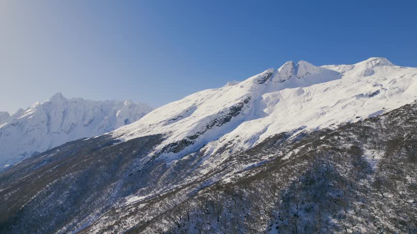 Snow covers mountains side under forest on sunny day