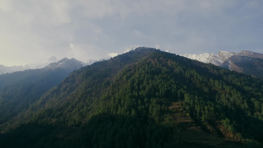 A forest in an highland with mountains around