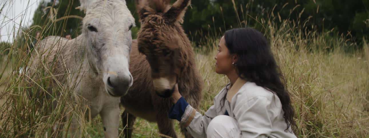 A lady petting two donkey then a white goat walk in on her