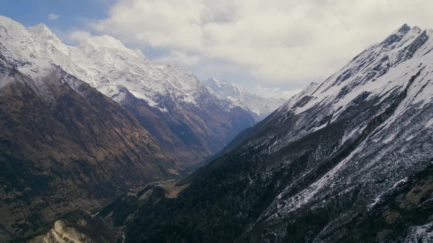 Plants and vegetation grown on a mountainside with rough terrain and snow covered mountains in the distance