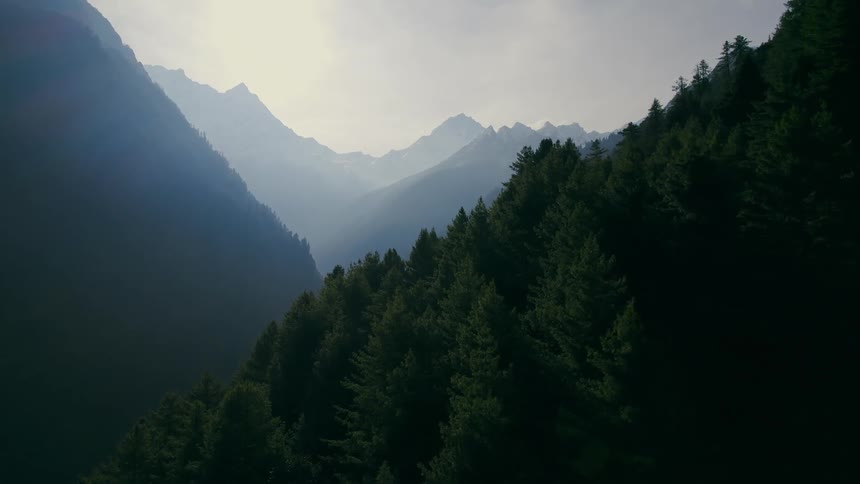 Forests completely cover the slopes of a deep valley within a mountain range