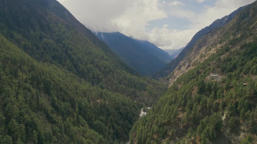 A deep valley is completely covered with a layer of dense forest