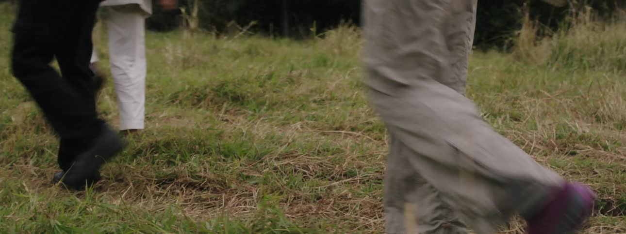 The dog follows behind the hikers