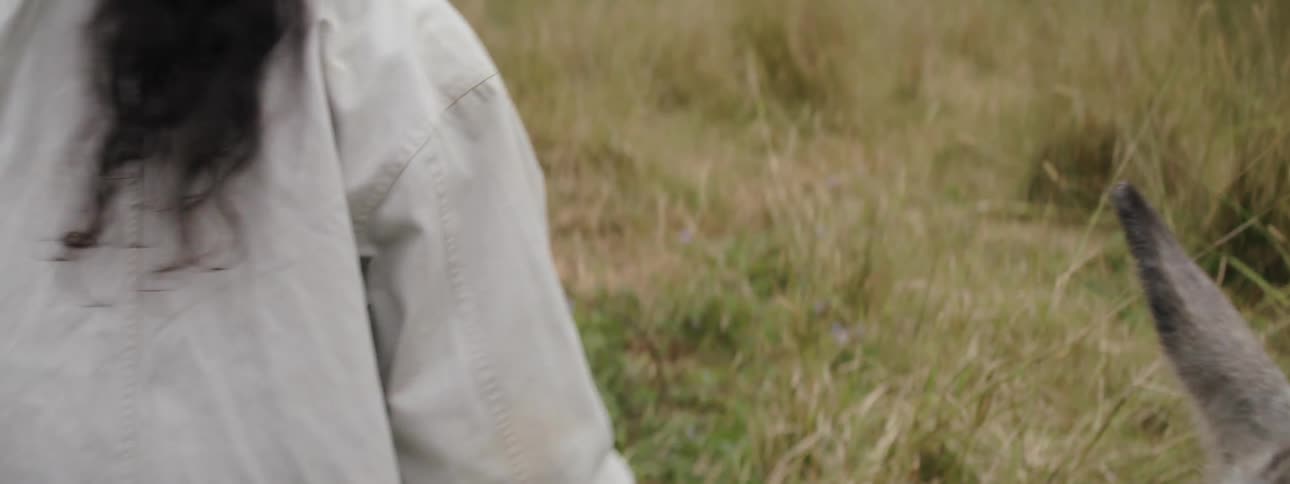 A young woman walks through a field as farm animals graze nearby