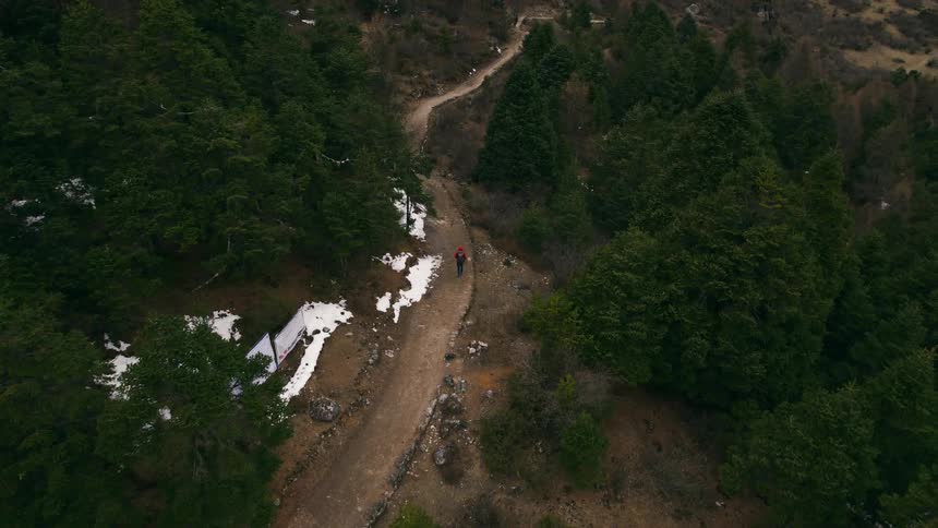 A person is hiking on a trail in the forest