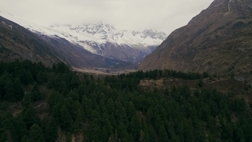 A wide canyon surrounded by tall mountains is filled with dense forest
