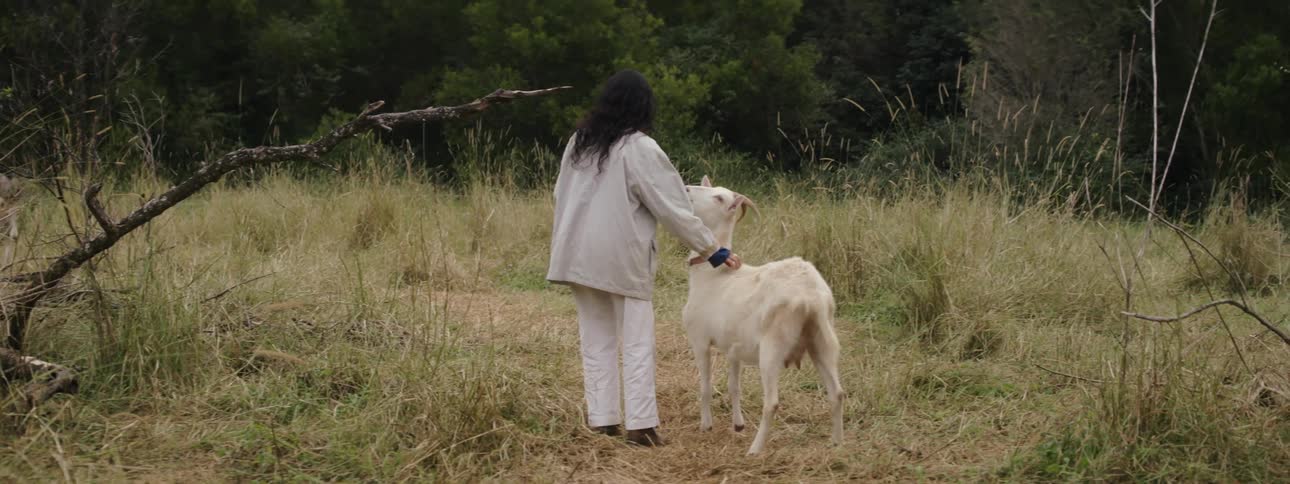 A woman pets a white goat in a grassy field as two donkeys approach