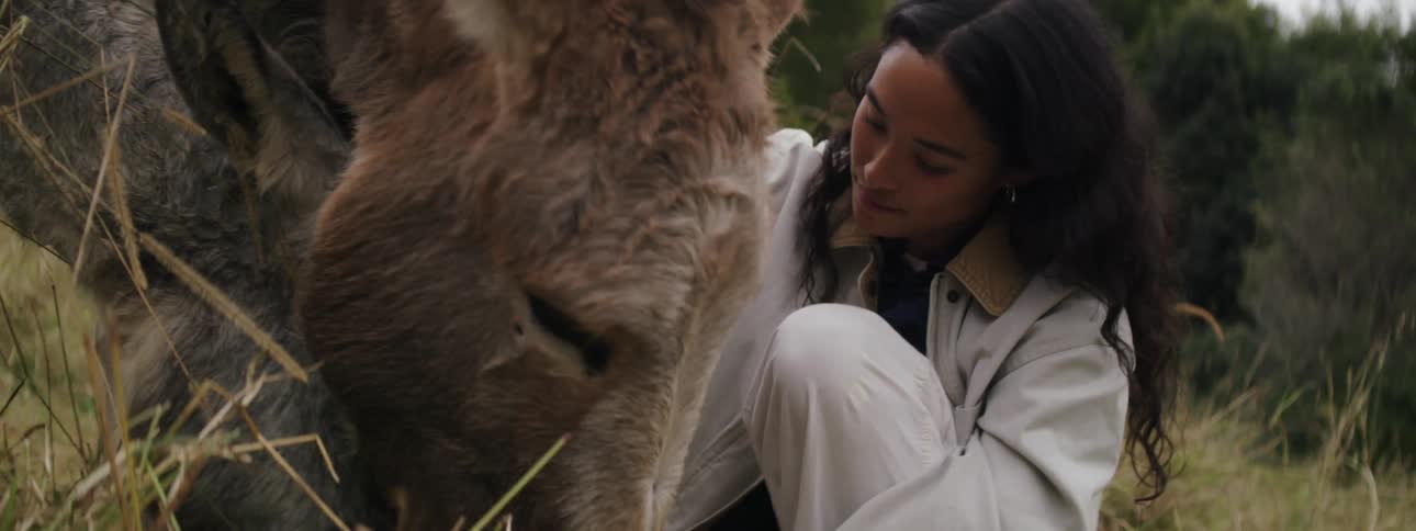 Corrected sentence a woman petting one donkey while another donkey approaches and she pets it as they both eat grass in a grassy land with another woman visible in the background