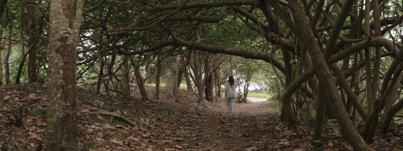 A woman walking in the woods in a walk path with dried leaves all over the floor