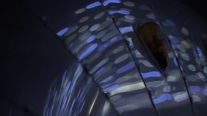 Blue and white lights are reflecting off a shiny curved surface