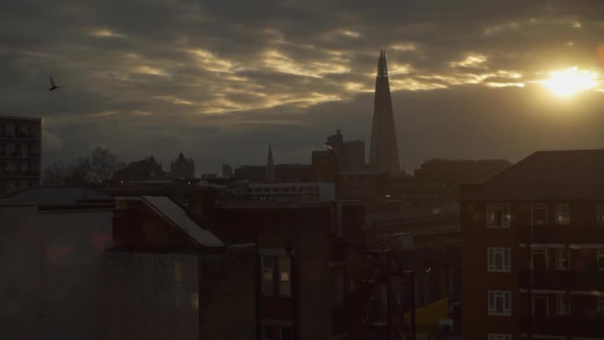 Birds flying above rooftops at sunrise