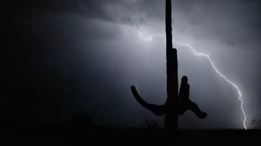 The silhouette of a cactus is illuminated by bright flashes of lightning