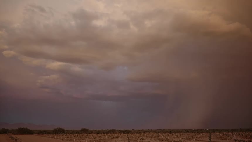 Lightning strike and heavy rain from a thunderstorm over a field